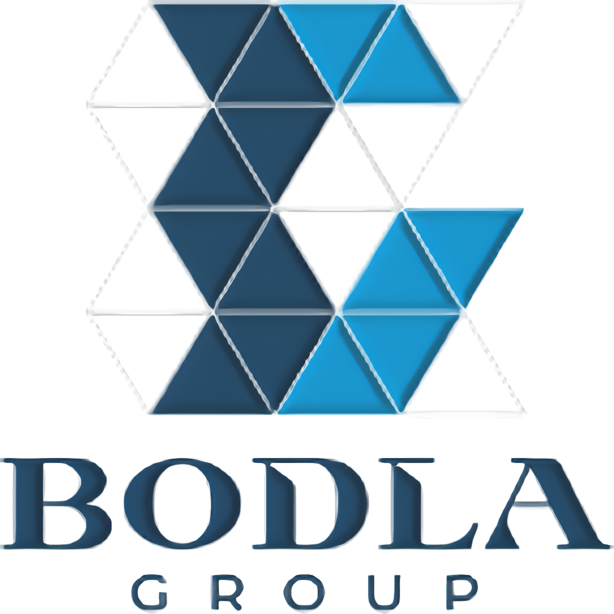 Bodla Group Logo
